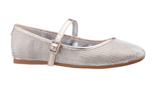 Load image into Gallery viewer, Wally-Platino