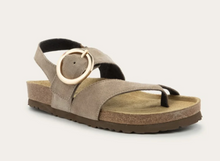 Load image into Gallery viewer, Baltimore-Almond Suede