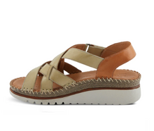 Load image into Gallery viewer, Migula-Olive