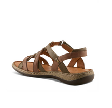 Load image into Gallery viewer, Nyxelle - Olive Multi